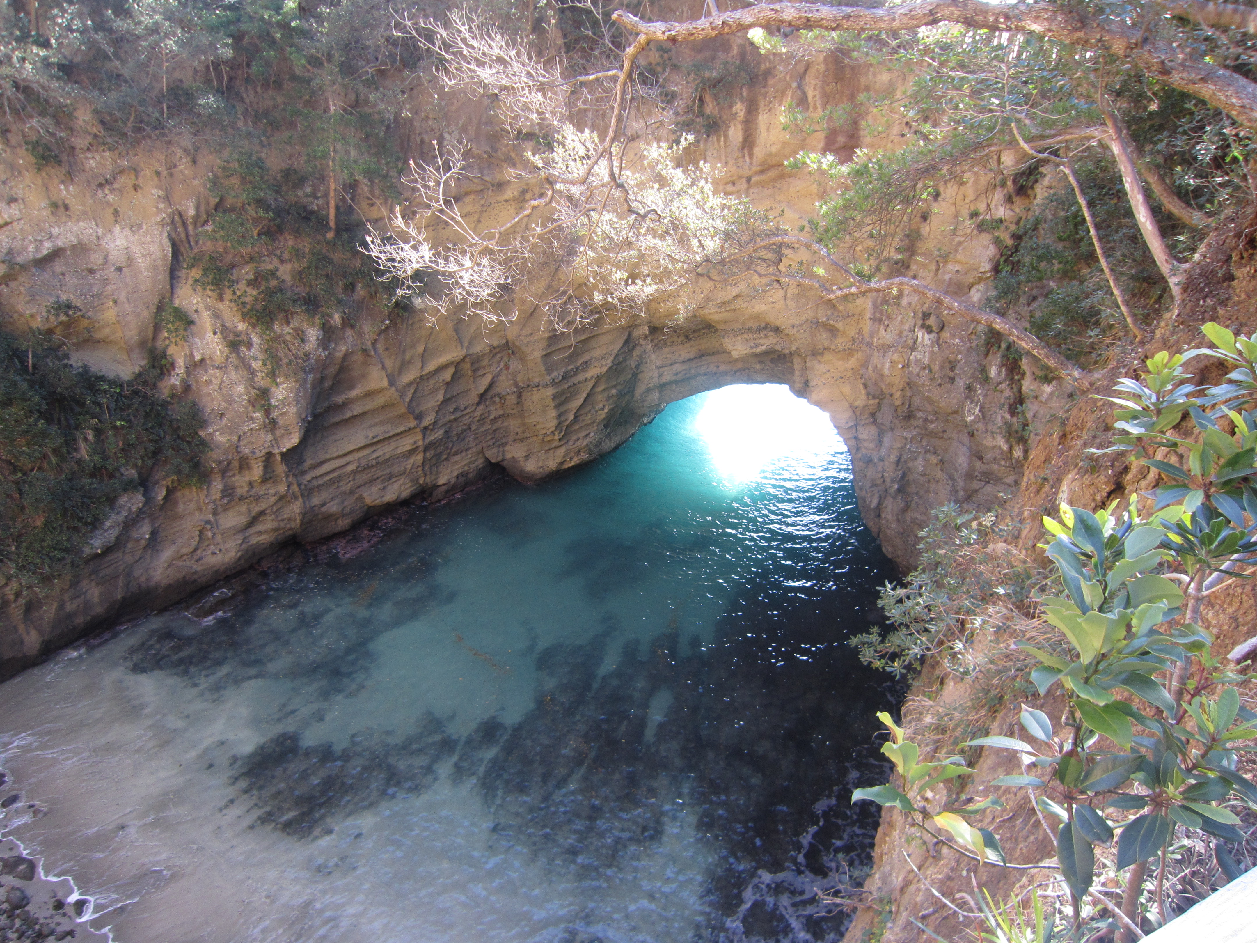 寒川,不動産,アパート,貸家,新築,マンション,土地