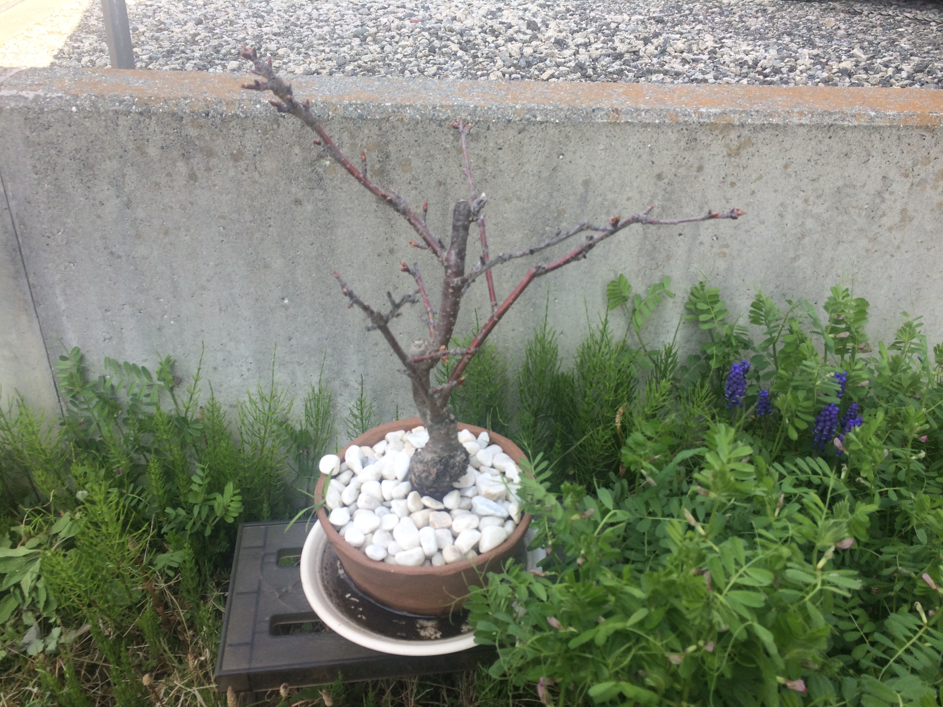 寒川,不動産,アパート,貸家,新築,マンション,土地