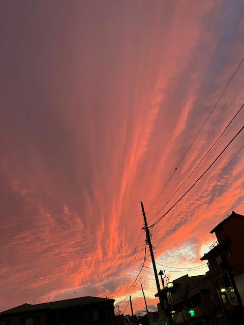 寒川,不動産,アパート,貸家,新築,マンション,土地